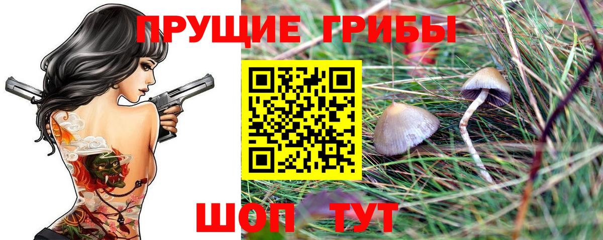 Галлюциногенные грибы MAGIC MUSHROOMS Малгобек