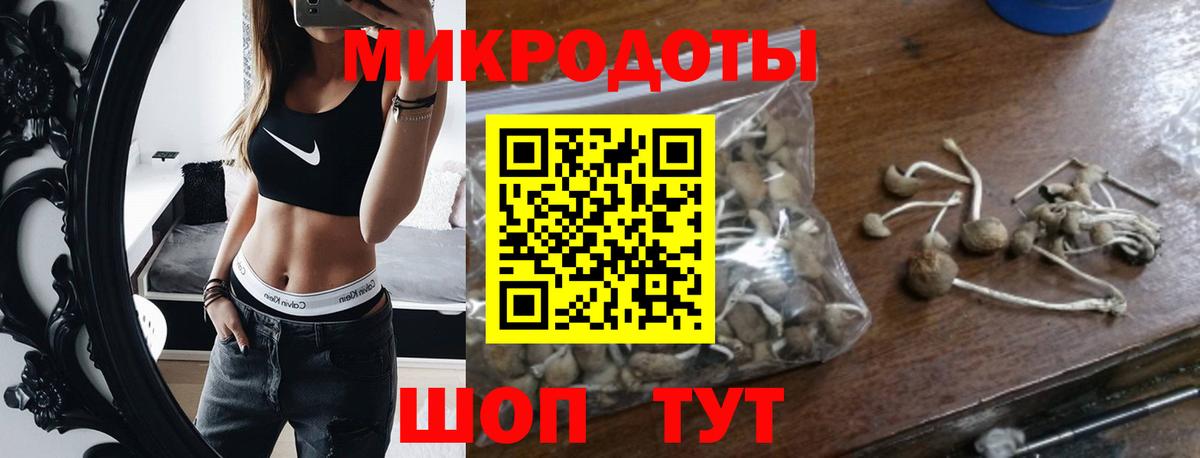 Галлюциногенные грибы MAGIC MUSHROOMS  Псилоцибиновые грибы мицелий  Вход с VPN  Малгобек 