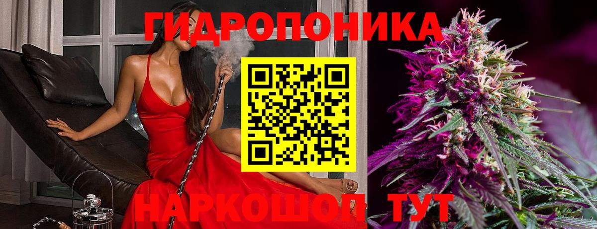Конопля Ganja Малгобек